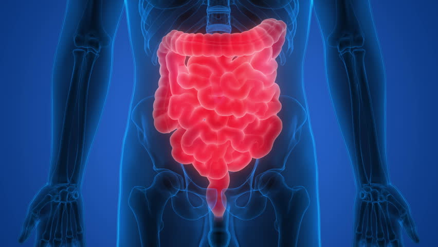 acilci_net's tweet photo. Hatırlayalım:
Akut Gastroenterit Tedavisi - Yunus Emre Ayhan @acilci_net için yazdı,
Fatma Çakmak seslendirdi:
https://t.co/ELivukMGu5
#FOAMed #AkutGastroenteritTedavisi #buscopan #enterit #metpamit #semptomatik #ulcuran https://t.co/e5coZ6cmCt