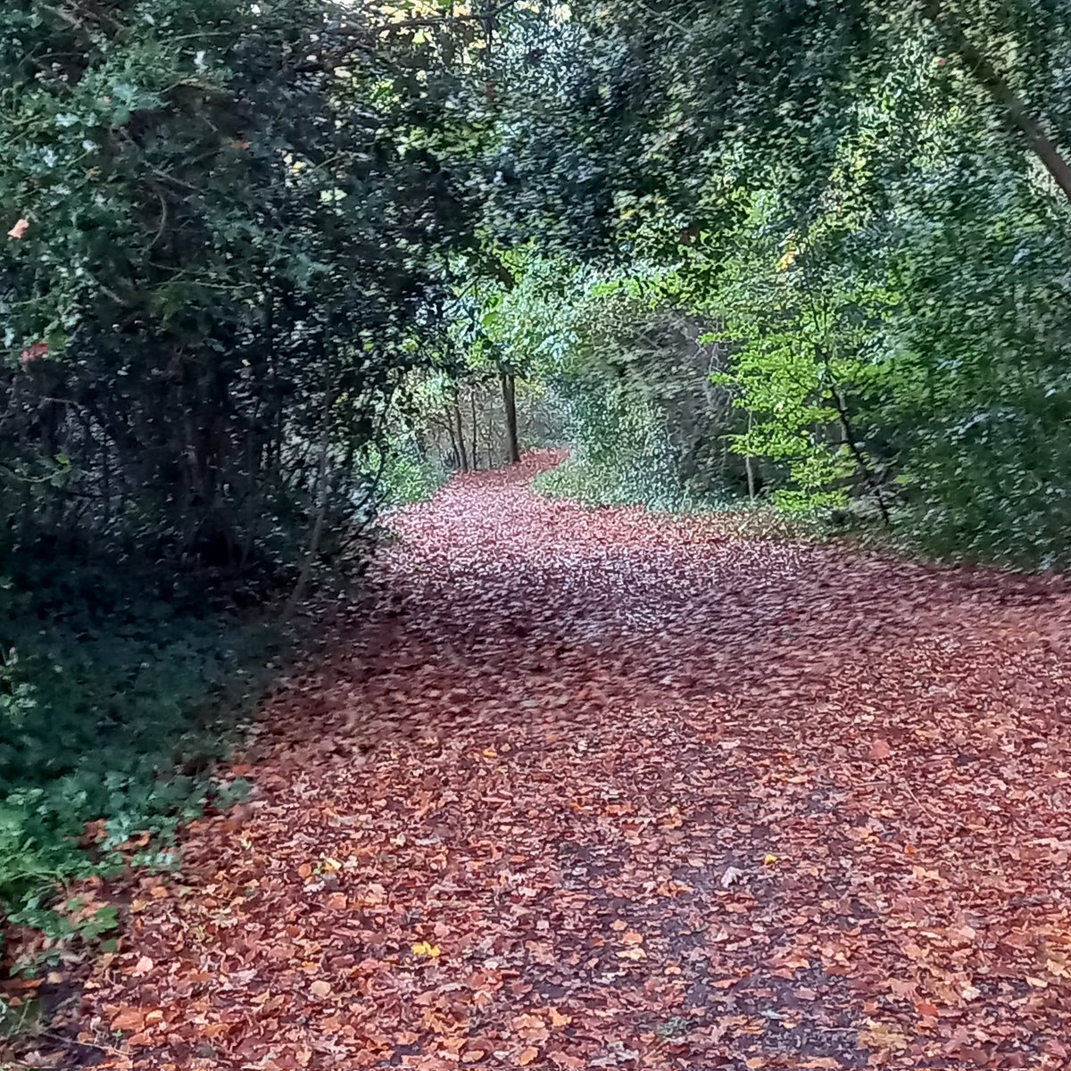 StuartBurt8's tweet image. #NewProfilePic