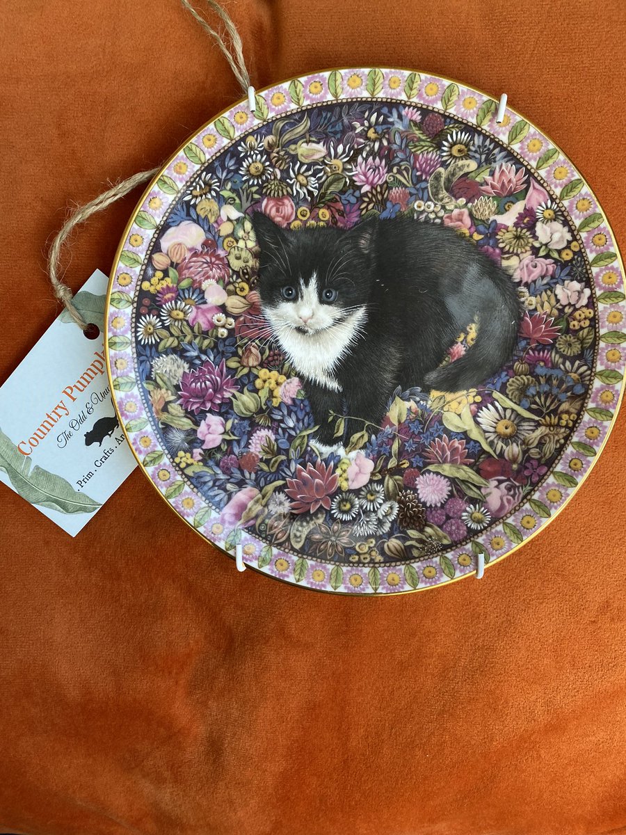 Lesley Anne Ivory (1990) ‘Kitten’ collection for October. This little pumpkin is in our Country Pumpkin patch at #Caldicott’s in #Stourport! 
#kitten #collectible #cottagecore #blackandwhitecat #vintageplates #countrydecor #lesleyanneivory #cat