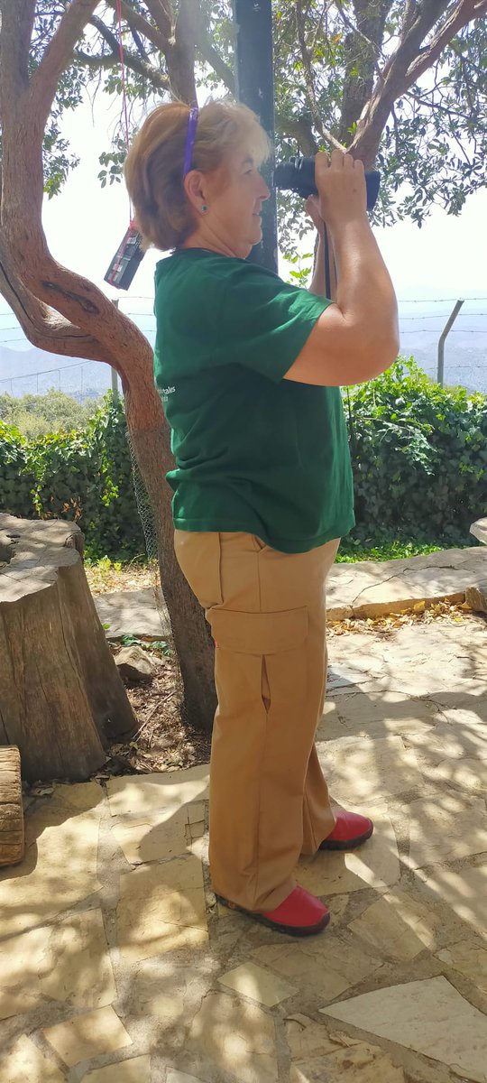 AMAyA UITA tweet media