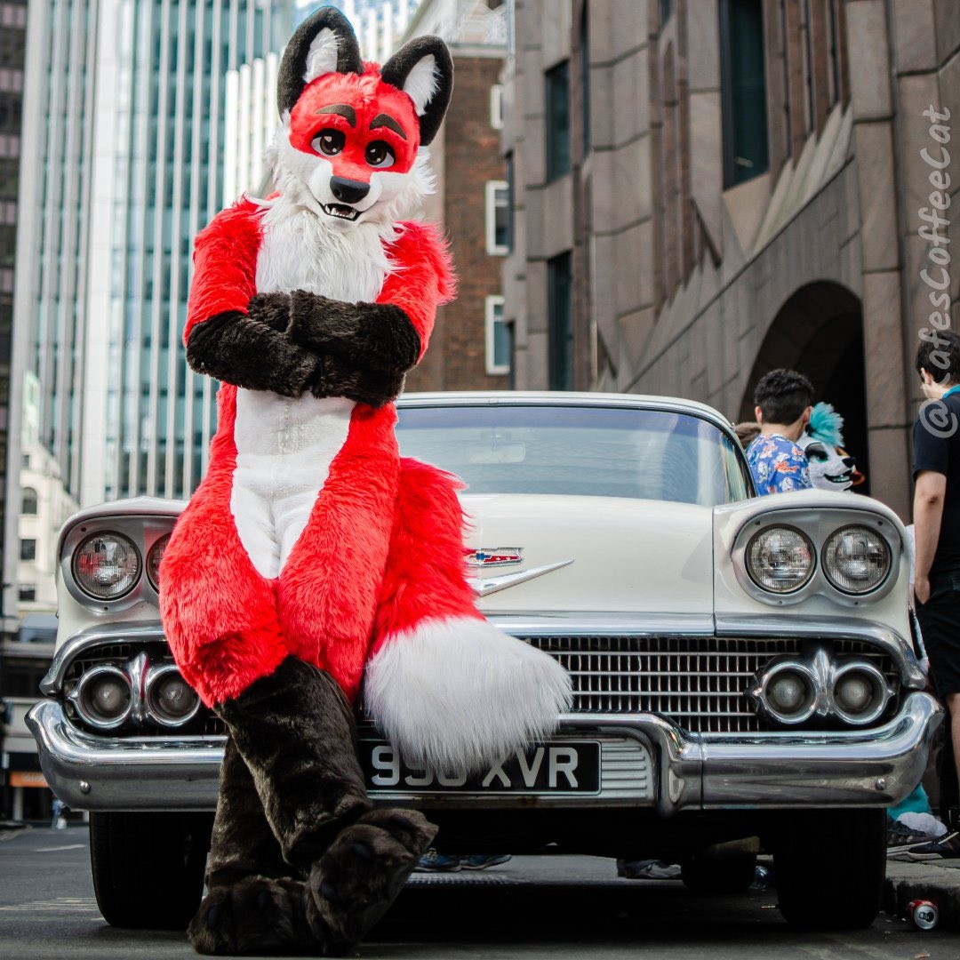 GeekRetreatFurs's tweet photo. Todays #EssexFurs, and one of our earliest supporters, is the noble @XavierFox19! 🦊❤️

Are you an Essex Fur? Tweet @ us with some of your favourite photos (don't forget the photog/artist credit!) and we'll feature you on our page!

📷: N/A, @Joseph_Leeder, N/A, @KafesCoffeeCat https://t.co/kO4EPOpDrm