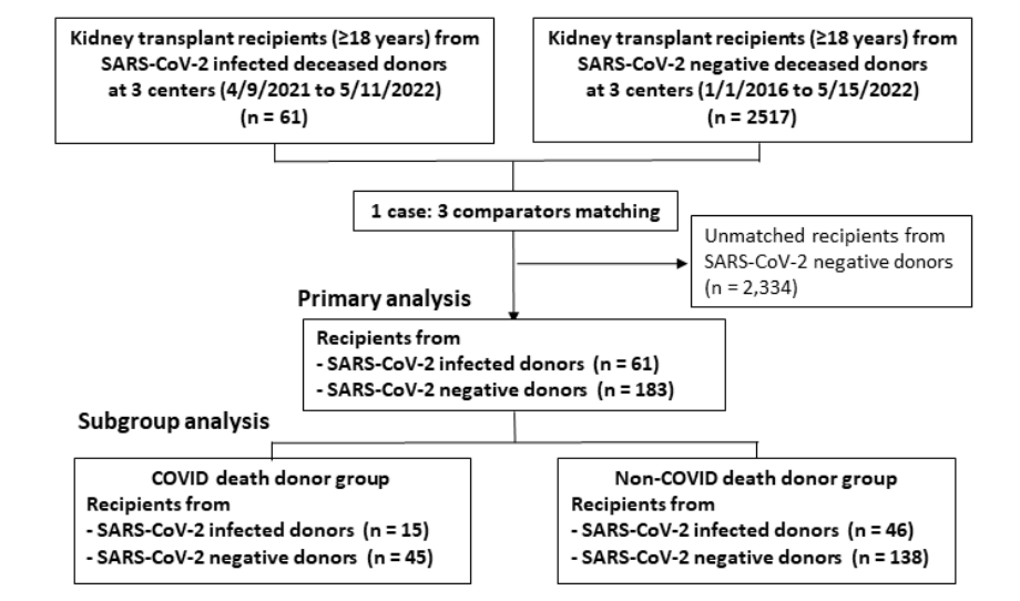Acceptable posttransplant outcomes were reported in kidney transplant recipients from donors with COVID-19. This study found six-month eGFR was not significantly different between recipients of kidneys from infected and non-infected donors bit.ly/CJASN0275

@mzmolnar