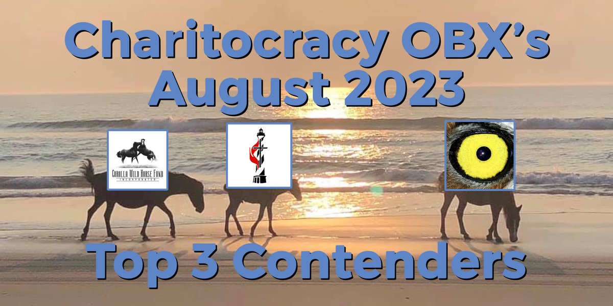 charitocracy_'s tweet photo. 💙August's OBX Top 3💙
1. w/ 53%: #HatterasIslandWildlifeRehab
2. w/ 28%: #CapeHatterasUnitedMethodistMen
3. w/ 19%: @WildHorseFund
Votes counted 8/31, winner takes $1100! ￼💙https://t.co/t6ET42tEpB #charitocracy #OBX #top3 https://t.co/hlAznL4cPX