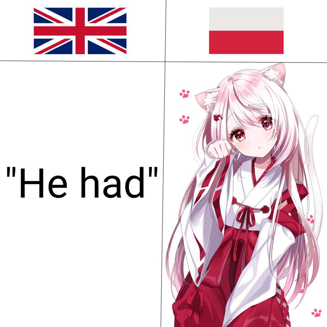 gównoposting (@gownomeming) on Twitter photo 