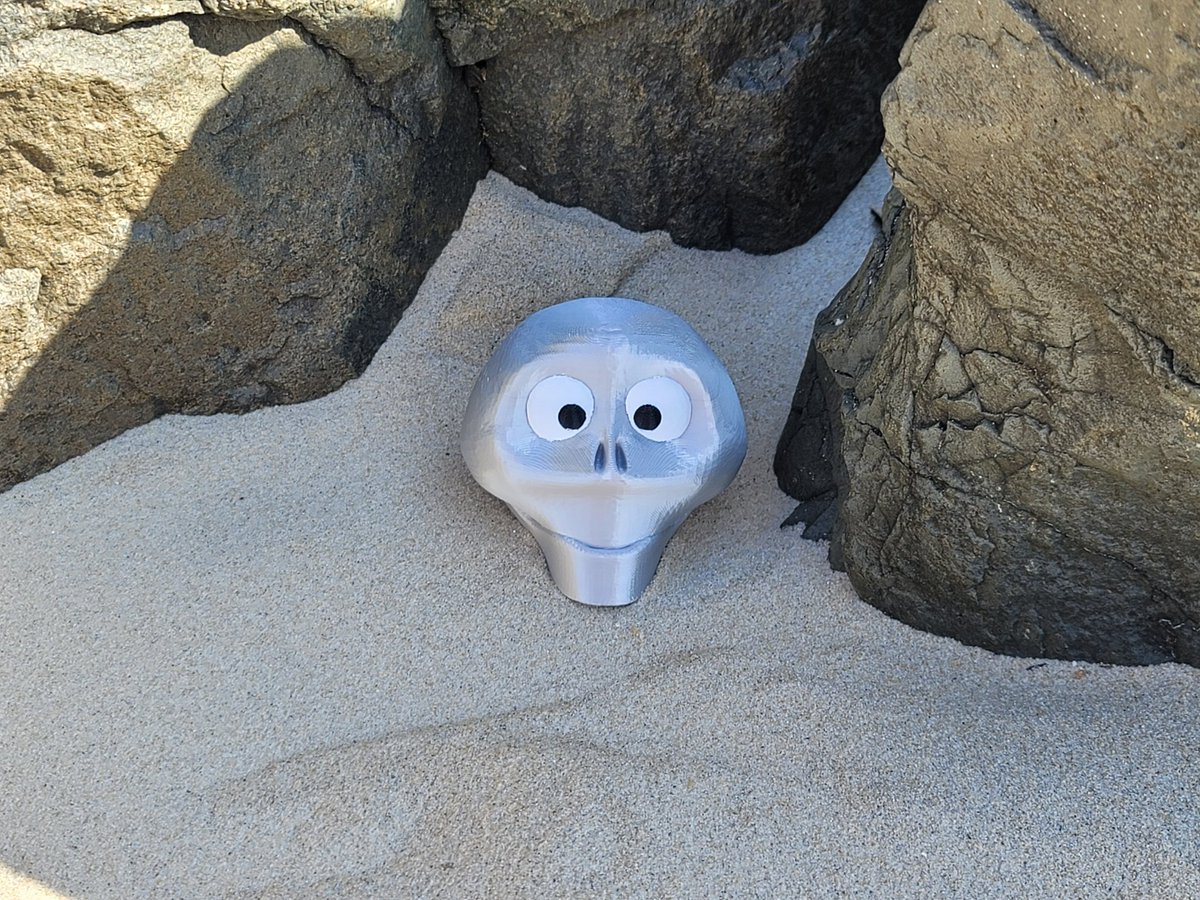 StaticClaws's tweet photo. Never know what treasures you'll find at the beach. https://t.co/EJYsS9W7tm