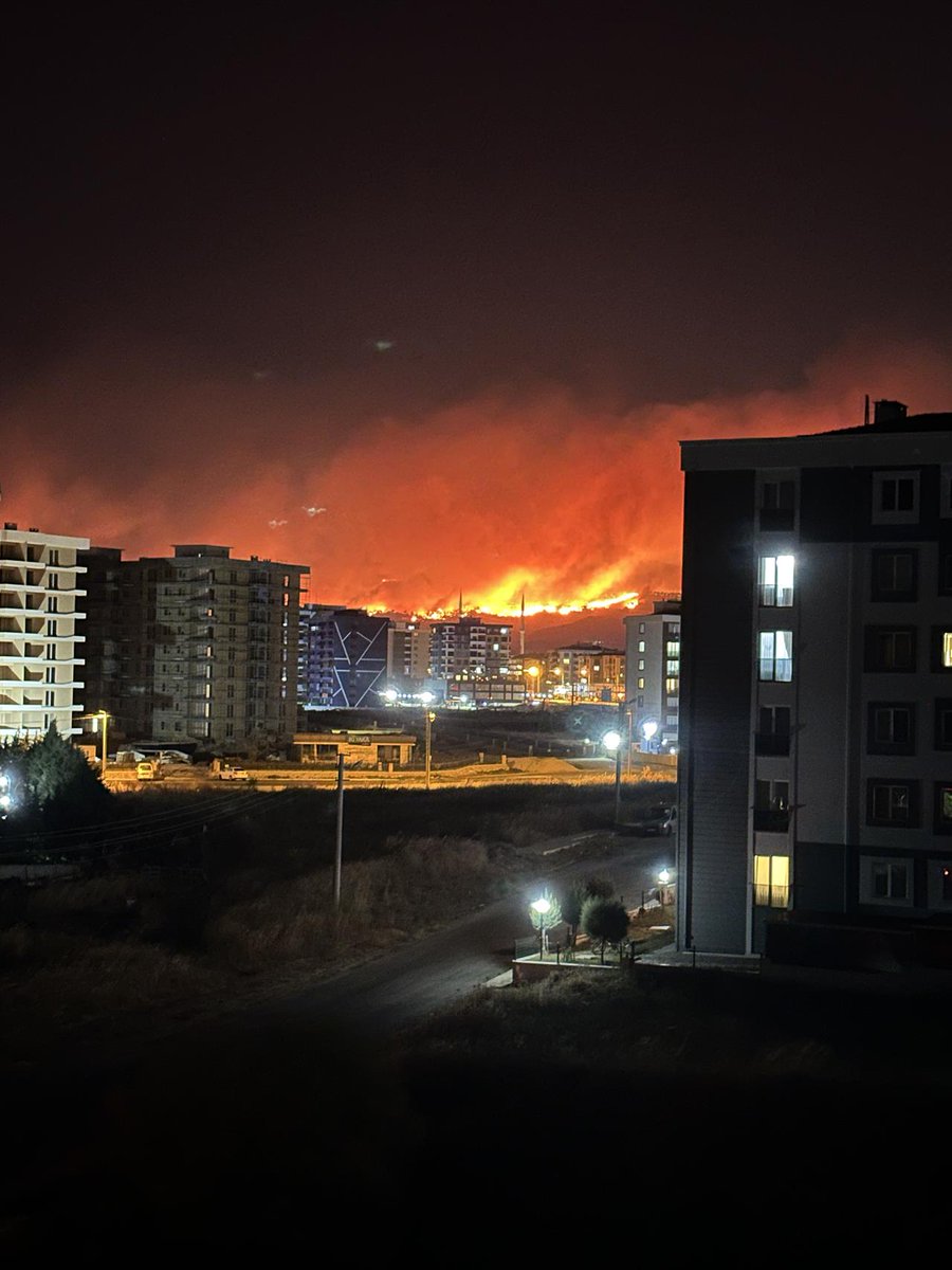 21:09 #çanakkale yangınında aynı noktadan 1 saat arayla çekilmiş iki kare. kaynak sözlük yazarı "bambudan bambuya atlayan atletik panda"