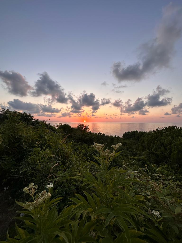 Emel hanım fotoğraflarından sadece bulut olan daha yaratıcı. Grafiksel olarak daha güçlü. Işığın bulutlara teması hoş. Gün batımının yaratıcı bir tasviri. Diğer fotoğraflar ışık ve renk olarak güzel, ancak yaratıcılığa ve farklılığa muhtaç. 
Siz ne düşünüyorsunuz? 
#photography