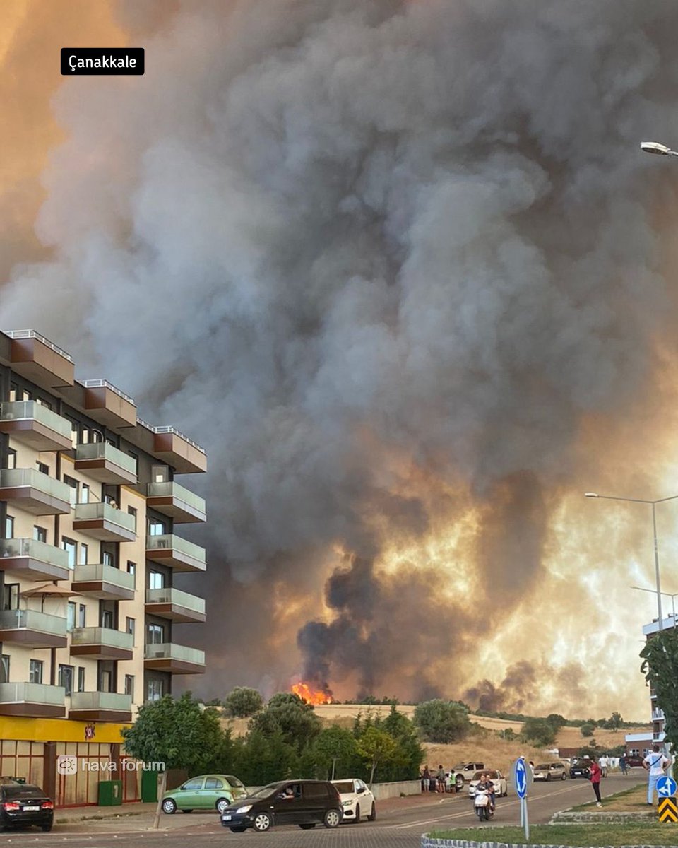 Ciğerlerimiz yanıyor. #Çanakkale