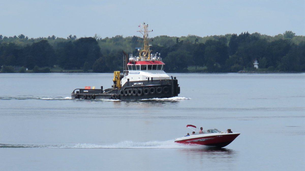 SeawayNNY's tweet photo. Tug AMY LYNN D 🇨🇦 down the St. Lawrence River today at Wilson Hill bound for Massena, NY🤔 https://t.co/q6RIAblzWw