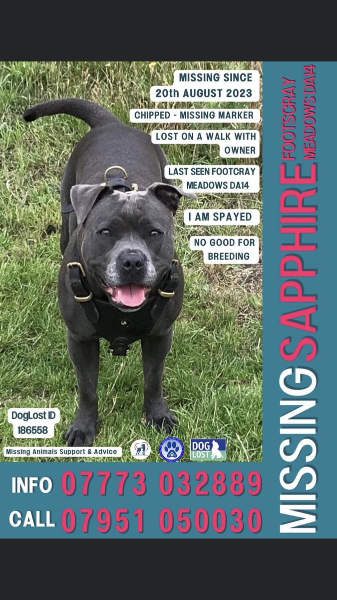 JacquiSaid's tweet photo. Where is #Sapphire #FootscrayMeadows #Da14 #Sidcup #Kent @MissingPetsGB @Kent_Online @MPSSidcup @thedogfinder @rosieDoc2 @JohnDaffern2 @SarahLoudon1 https://t.co/xM5nGh7xRJ https://t.co/4tAXNUeFHq