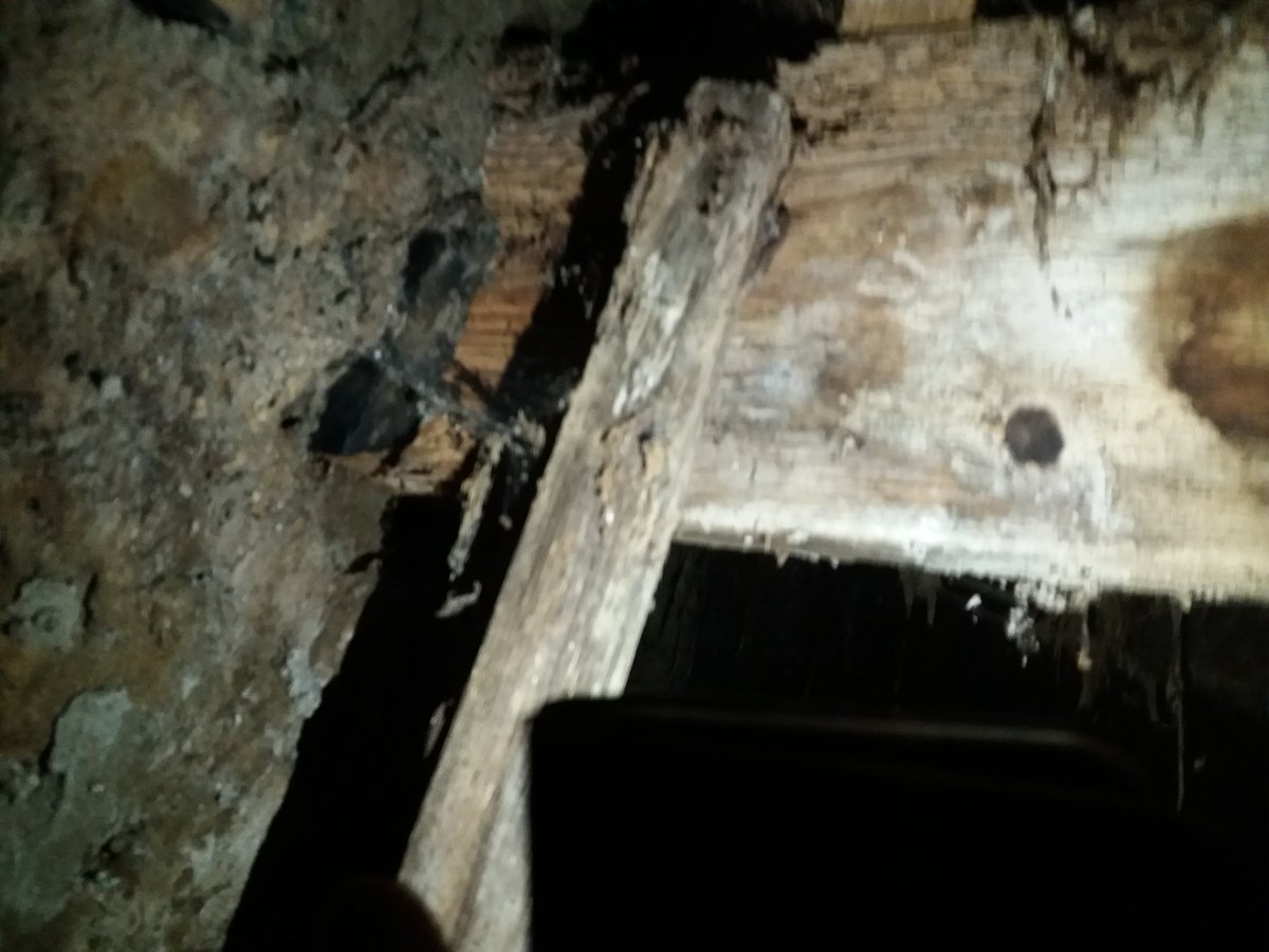 @NIPSO_Comms @OmaghSinnFein @BelTel_Business @CommunitiesNI Water ingress from gable wall showing rot on wooden ceiling which when removed gave access to the loft space which revealed that the Ridge board holding up the roof was rotting= this building should be on the #HARNI #BuildingAtRiskRegisterNI #SystemFailNI #ThatchConditionSurveyNI