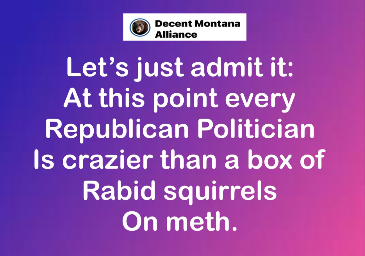 problembear tweet media