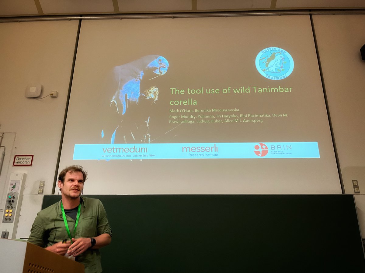 Mark O'Hara (@_markohara_) on Twitter photo Finally back from #Behaviour2023 #conference in #Bielefeld! Thank you <a href="/2023Behaviour/">Behaviour 2023</a> for the wonderful and inspiring experience and opportunity to present #tooluse in wild #TanimbarCorella! Thanks <a href="/icouzin/">Iain Couzin</a>, <a href="/CTennie/">Claudio Tennie</a>, <a href="/zannaclay/">Zanna Clay</a> and so many more for great after-party chats π Finally back from #Behaviour2023 #conference in #Bielefeld! Thank you <a href="/2023Behaviour/">Behaviour 2023</a> for the wonderful and inspiring experience and opportunity to present #tooluse in wild #TanimbarCorella! Thanks <a href="/icouzin/">Iain Couzin</a>, <a href="/CTennie/">Claudio Tennie</a>, <a href="/zannaclay/">Zanna Clay</a> and so many more for great after-party chats π