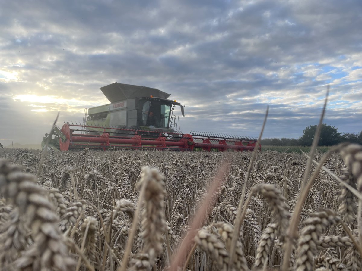 A different shade today