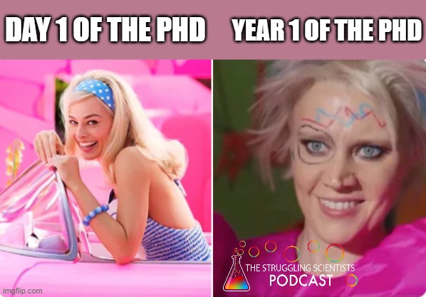 TheStrugglingS4's tweet photo. PhD Barbie has seen better days 😅 https://t.co/P5UKyMJcLo