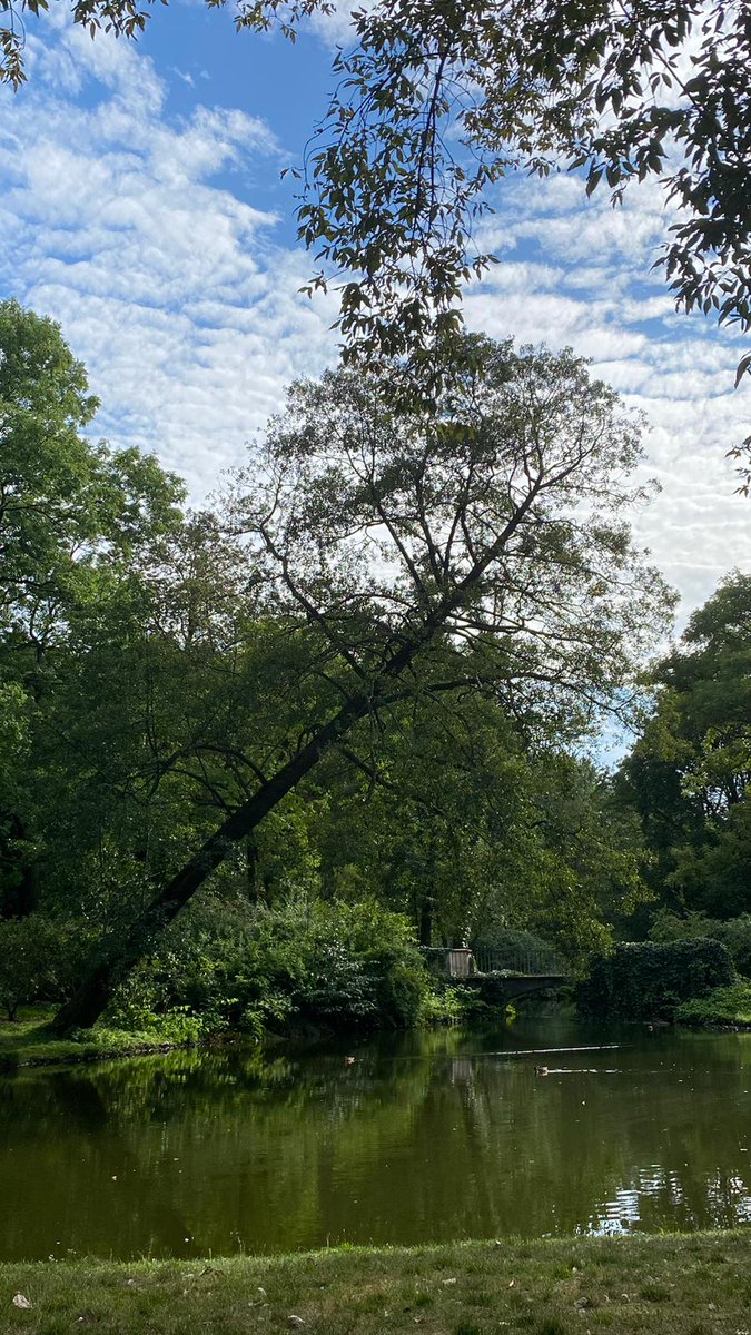 dailyseneka's tweet photo. Nature's beauty holds a mirror to our souls, reflecting the harmony and simplicity that illuminate the path to tranquility and wisdom. https://t.co/9zaH67oUDT