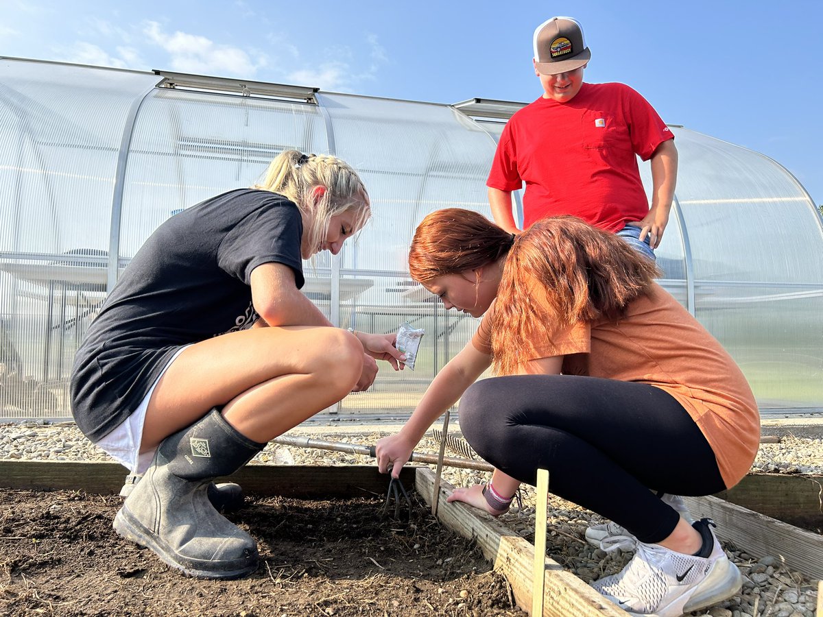Sullivan FFA Chapter tweet media