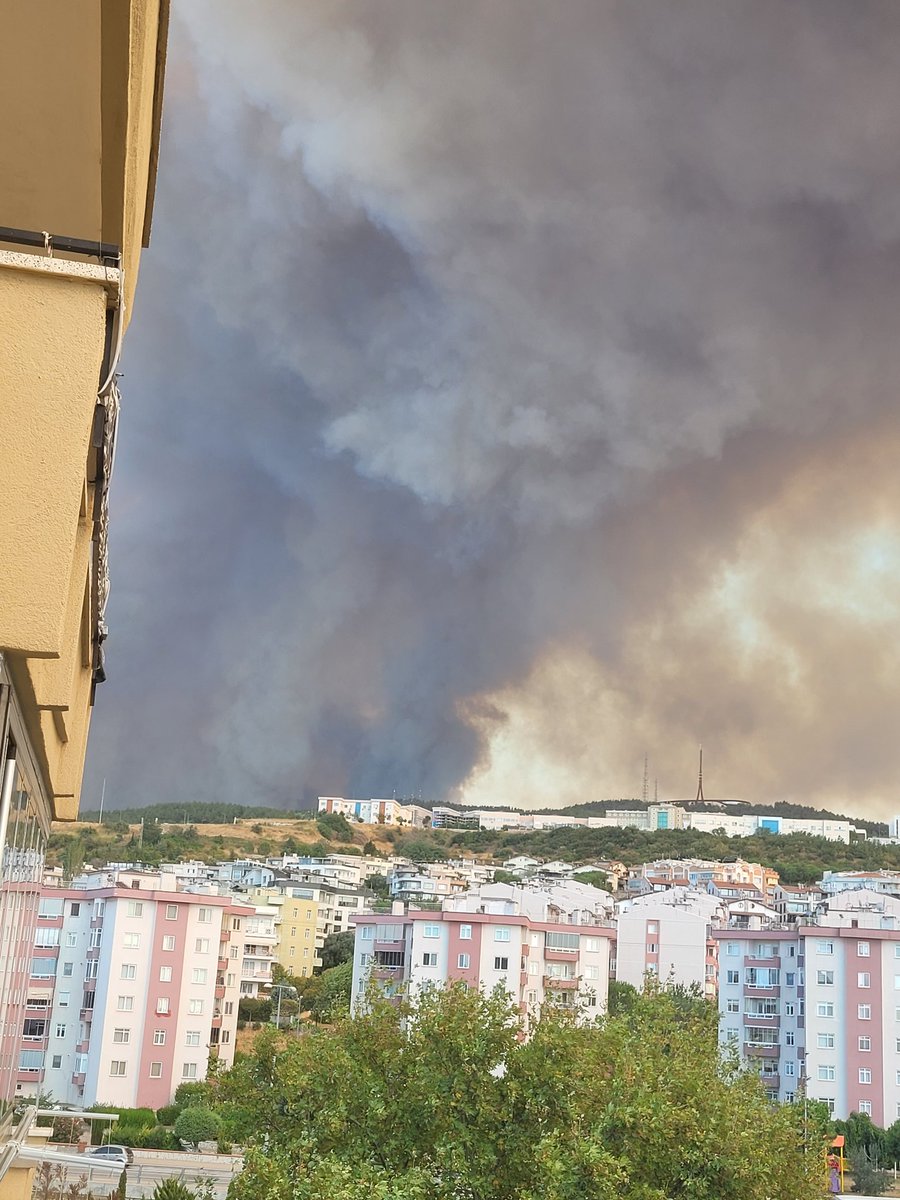 ecescess's tweet photo. An itibariyle çanakkale merkeze kadar geldi... #çanakkale #yangın #SonDakika https://t.co/OlyWCYXt72
