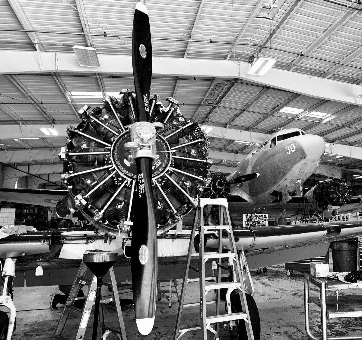 David Hills tweet media