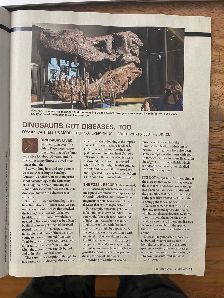 Sara Novak tweet media