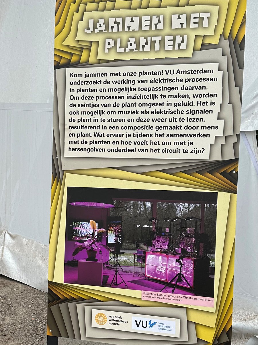 VUvereniging (inactief) (@vuvereniging) on Twitter photo Is een echte connectie met planten mogelijk? Bij #Lowlands23 kon je samen met elektrische signalen van planten via audiomodules muziek beïnvloeden. Een jamsessie met planten!
Het evenement was een groot succes.
Biofysicus Raoul Frese van de <a href="/VUamsterdam/">Vrije Universiteit Amsterdam (inactief)</a>: bit.ly/jammenmetplant Is een echte connectie met planten mogelijk? Bij #Lowlands23 kon je samen met elektrische signalen van planten via audiomodules muziek beïnvloeden. Een jamsessie met planten!
Het evenement was een groot succes.
Biofysicus Raoul Frese van de <a href="/VUamsterdam/">Vrije Universiteit Amsterdam (inactief)</a>: bit.ly/jammenmetplant