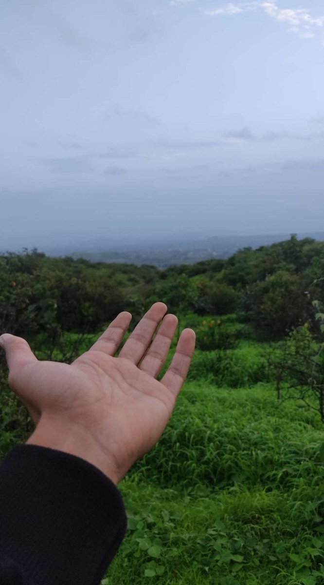 Varadvlogs11's tweet photo. Into the green 💚
#green #NaturePhotography #India https://t.co/CzJQKe2UBa