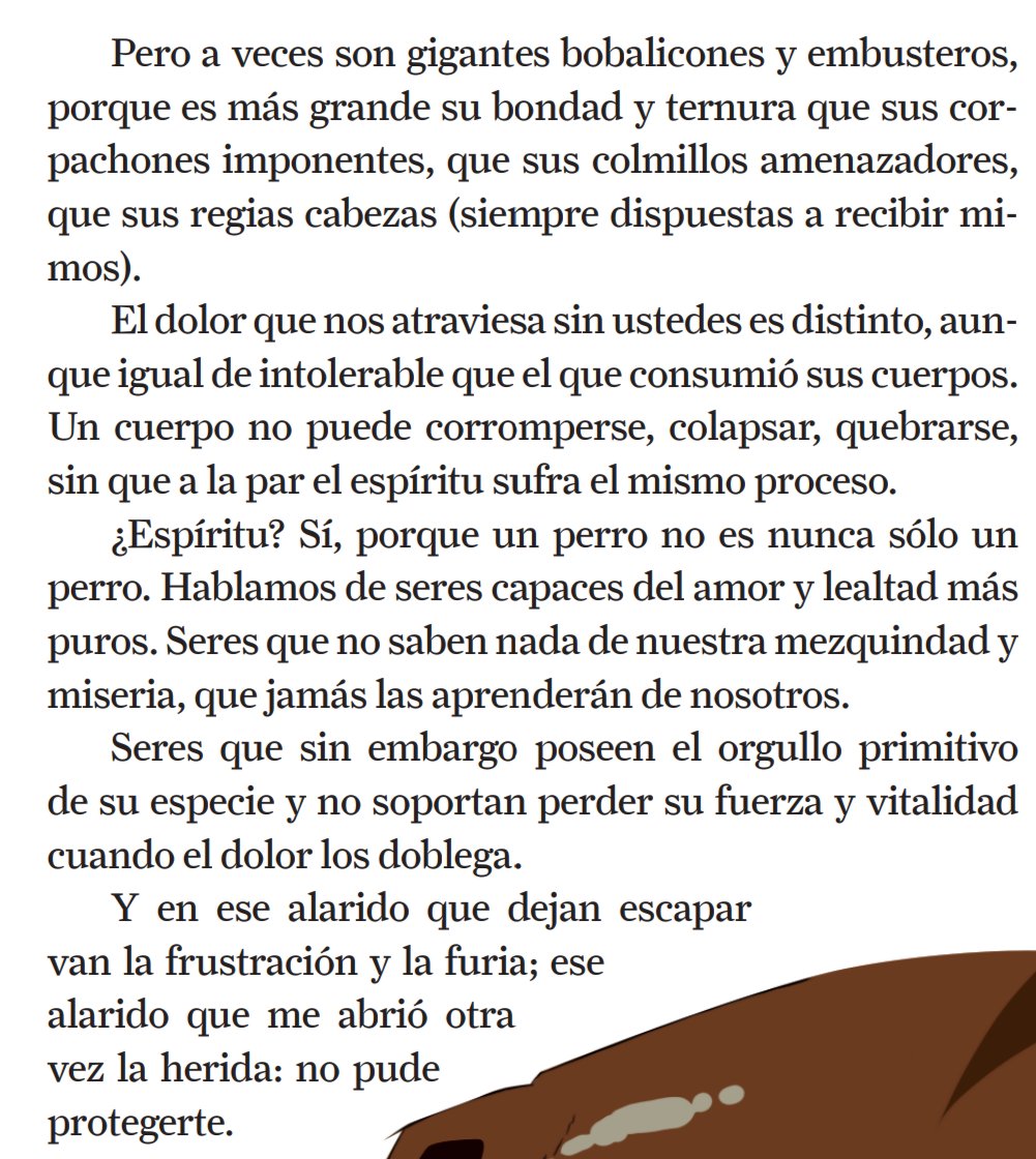 _Fanita_'s tweet photo. Gracias, Ziggy 💖
Gracias a todos los que han mostrado su empatía y cariño. https://t.co/R7zoX8AqEp