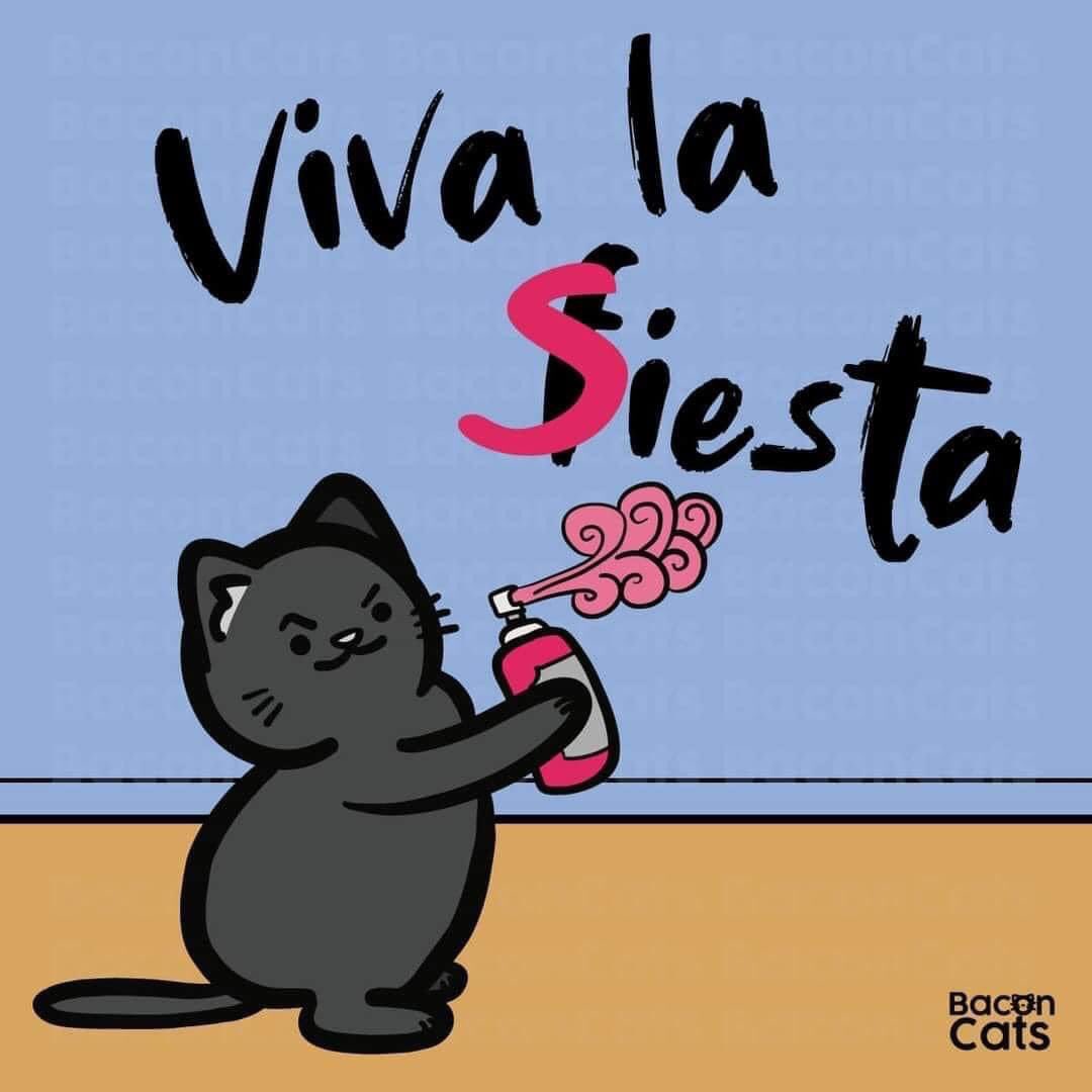 nacional_memes's tweet photo. 🐱 https://t.co/PBulHJ0Ax5