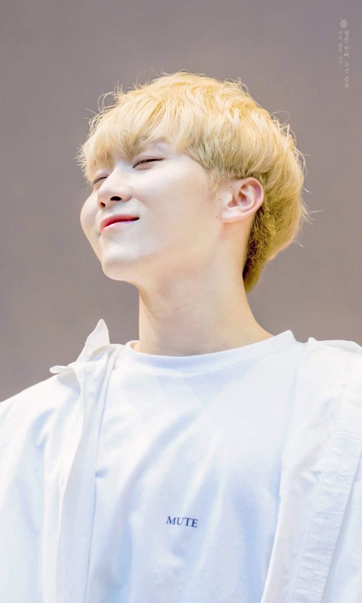 soft seungkwan pics tweet media