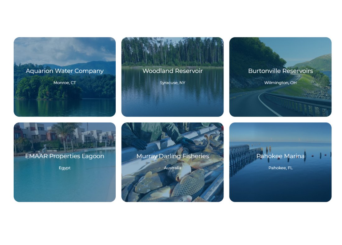 HydroBioScience's tweet photo. Have you read our Case Studies? We're not just making this up, our technology is proven!
https://t.co/jpxHHh3Sz5
#algaemanagement #waterqualitymonitoring #WaterManagement #algae #bluegreenalgae #algaebloom #ecofriendly #chemicalfree #therealOG #ecodrivensolutions #hydrobioscience https://t.co/OTlJAPdziA