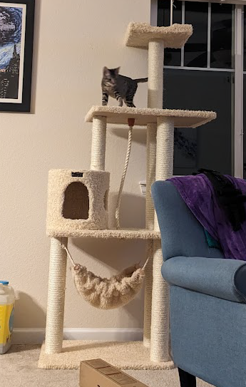 Mike Fal tweet media