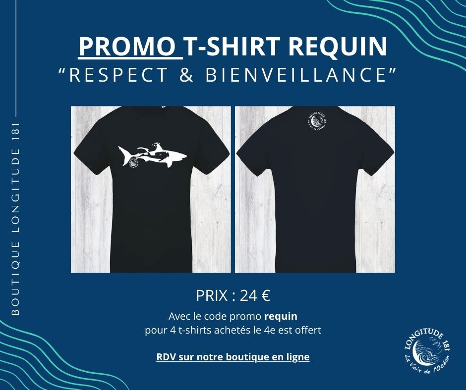 Longitude181 tweet media