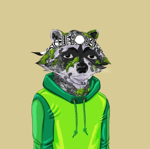 AlgoRaCCoon's tweet image. New battle open to everyone on Discord in 8 hrs!
🎁 PRIZE: A Raccoon V1 🎁
Tomorrow is the holder's snapshot!
Unlisted Raccoon nfts gives access to a DISCOUNT V2 Shuffle this Saturday!
What are you waiting for?
Join the gang!
discord.gg/FgCDPGvetg