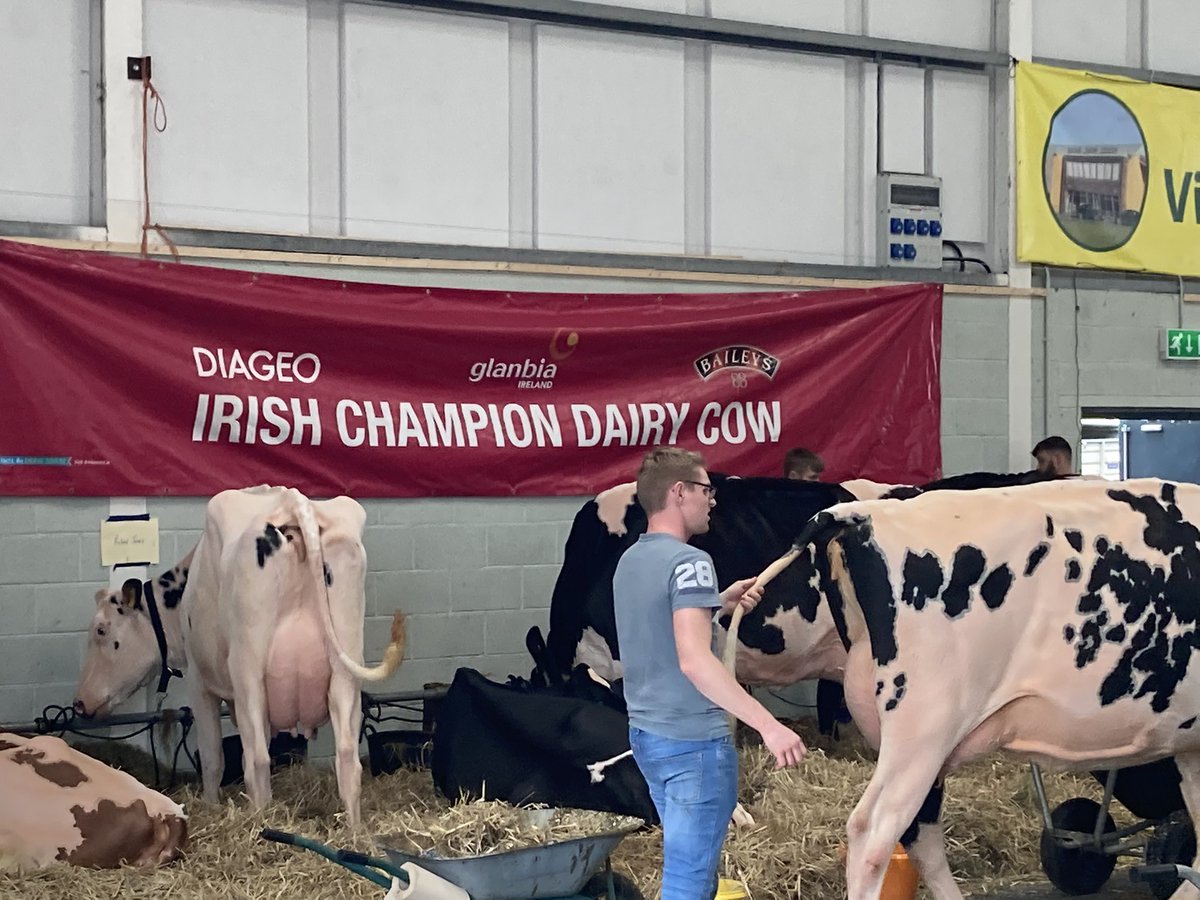 IASLabs's tweet photo. Getting set up for the @virginiashow in Co Cavan. Call to our stand to discuss #soil analysis, #silage analysis, #milkanalysis. #grasstomilk https://t.co/uXZprTmLUu