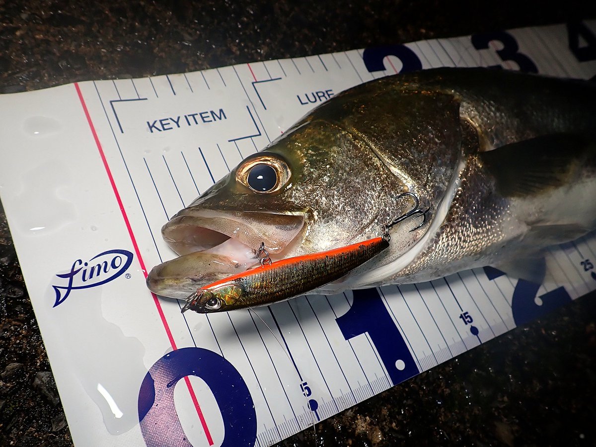 sasametsuribito's tweet image. ちなみにフックは
fimoフックMHRB！！

fimosw.com/u/admin/zd3jnh…

#fimoモニター