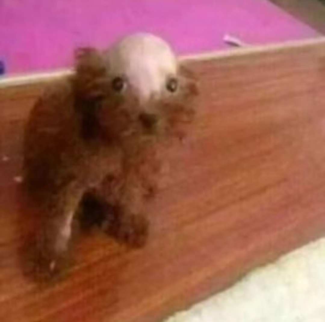 el peluquero: uuuuh flama mi hermanito te quedó rre cheto subilo al insta 

yo re boludo mal: