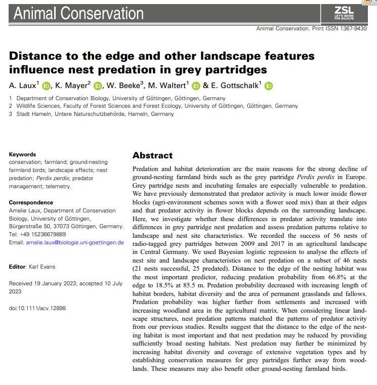 Onderzoek naar nestsucces bij patrijzen toont aan dat de afstand van nesten tot randen bepalend is voor de kans dat het gepredeerd wordt. 67% kans op verlies dichtbij randen en 18% op ruim 80meter. Verder is de diversiteit en het aandeel dekking in het leefgebied bepalend.