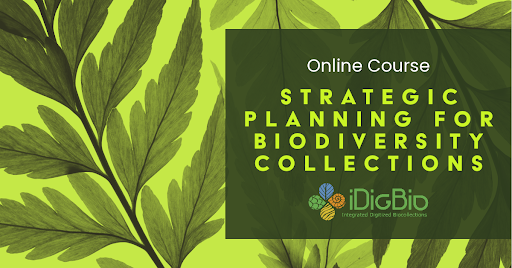 iDigBio is pleased to announce an 8-week 'Strategic Planning for Biodiversity Collections” online course! Applications close August 30! For more info and to apply: idigbio.org/content/regist…