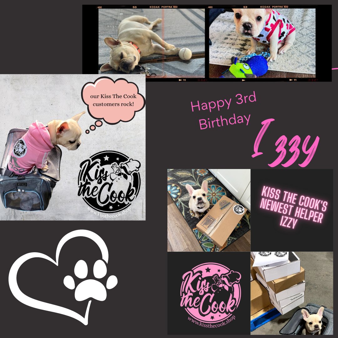 kissthecookshop's tweet image. 🍰 🥩Happy 3rd Birthday to our #frenchie Izzy who's been helping us deliver Kiss The Cook meat since she was little! She's always willing to help! #kissthecookcalgary #meatdelivery #steaklover #frenchies #doglovers #frenchiesofinstagram