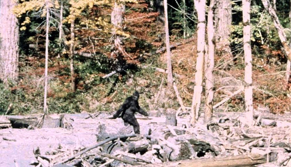 MonsterCrazyPod's tweet image. EPISODE 52. BIGFOOT.
See You In Hell continues. Three episodes remain.

anchor.fm/monstercrazy