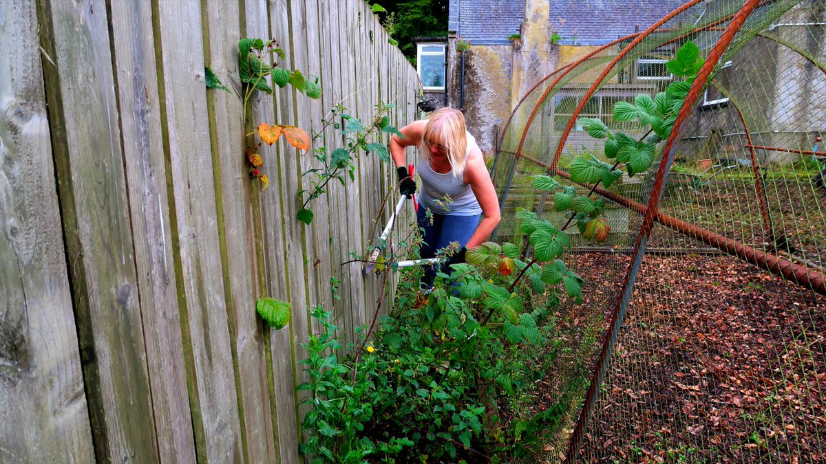 Good Shepherd Centre tweet media