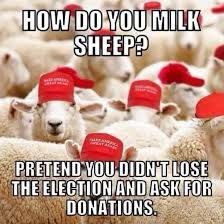 Loeepoee's tweet photo. @SanctumArcana @GeorgeTakei knock yourself out.  The more folks who vote for trump in the primary, the better the changes the democrats will win the general. and that, my friend, is a fact. also, don't forget to send yer money today.  all of them need money from their griftees, like you. https://t.co/FzrkjkA2vk