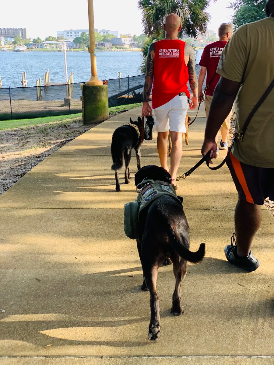 officialHP4Ws's tweet photo. “Today is the opportunity to build the tomorrow you want.”  Our #veterans work on their tomorrows &amp; quality of life by investing in training time with their service dogs.
#HP4Ws #TrainingTuesday https://t.co/1MBmE1Dxf2