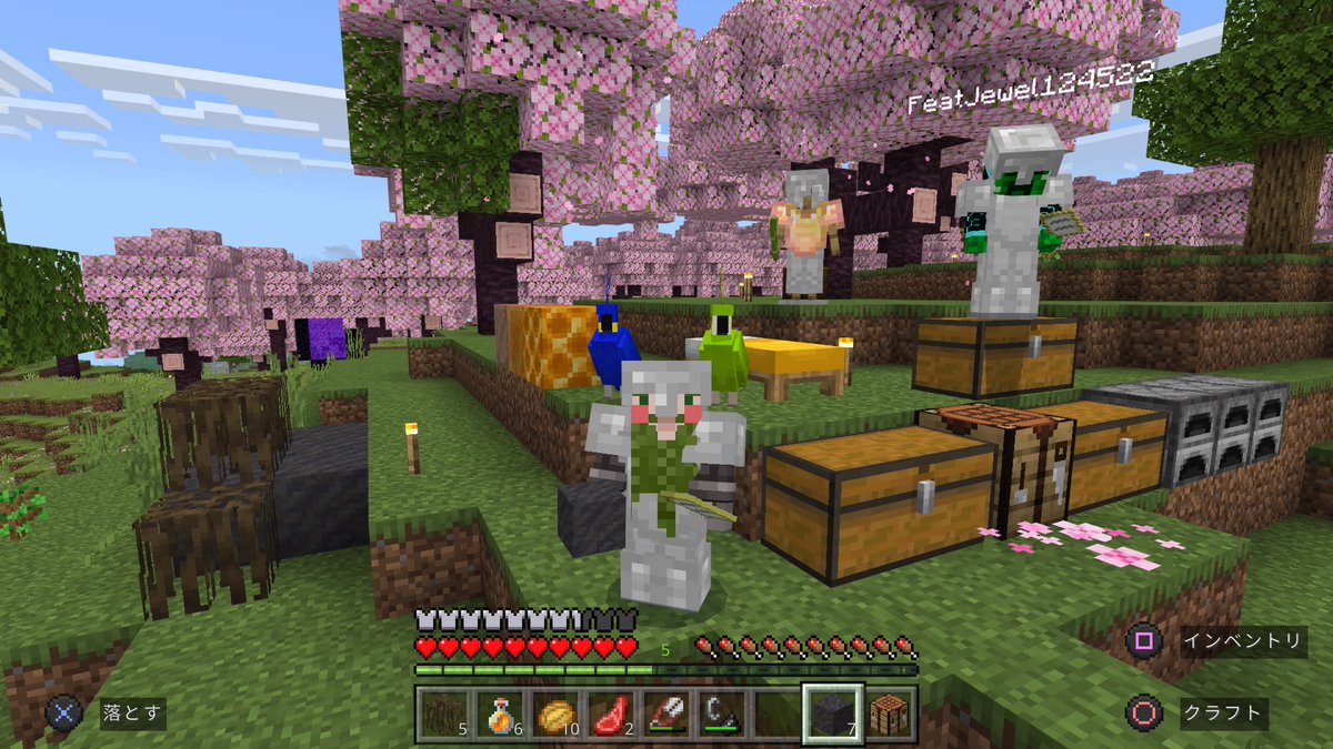 #PS5Share, #Minecraft