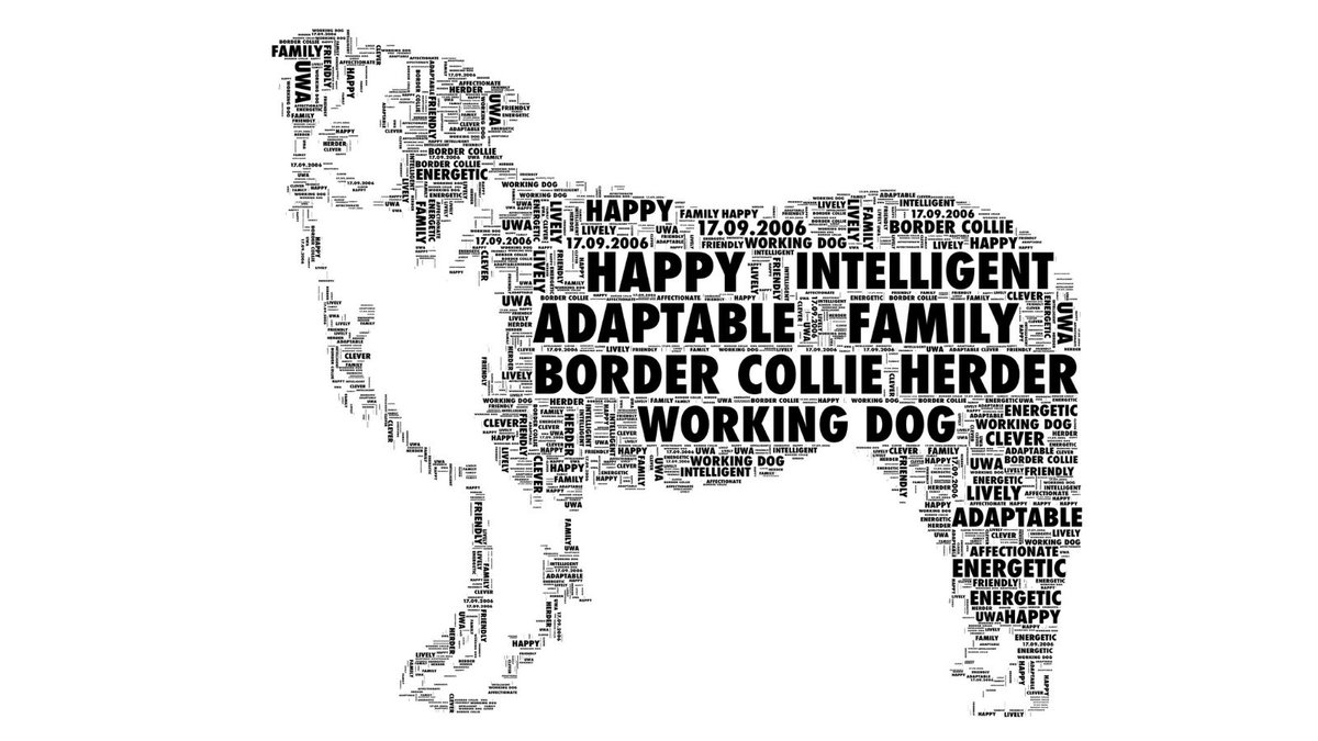 Dog Personalised Print, Different Breeds available. Amazing Gift and keepsake. go.shr.lc/3wWsi2h NOTHS #QueenOf #87RT