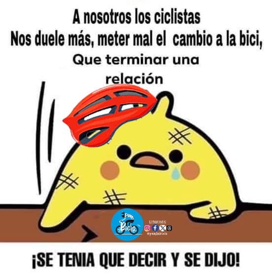 buenos dias amigos
no dejen de seguirnos en instagram, face, tw y threads como >> Punto Bicis

Lavinia #Quito  #LaVuelta23📷