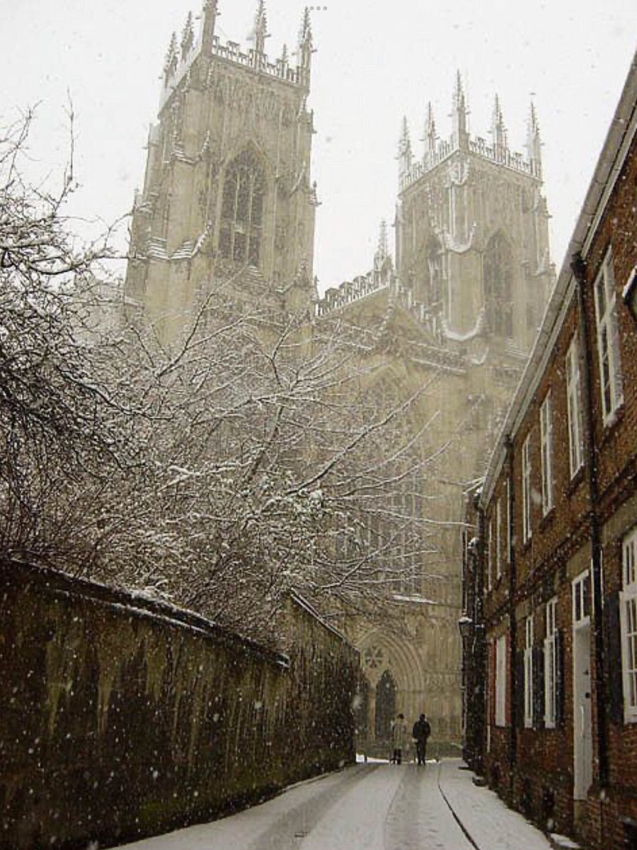 🏛Architectolder tweet media