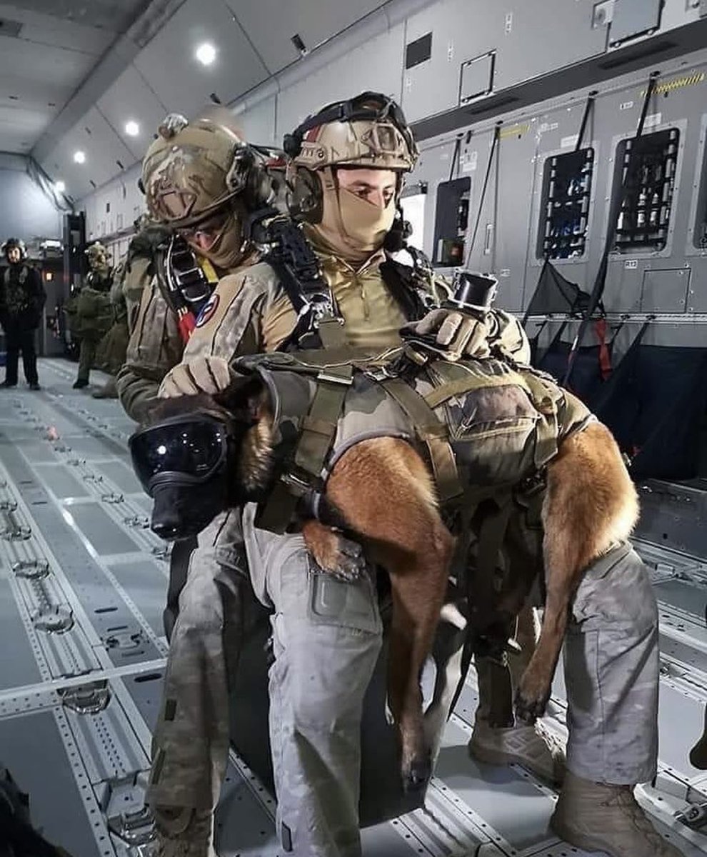 Fs_francaises_'s tweet image. Opérateurs du CPA 10 avant un saut lors d’une démonstration du 14 Juillet 2019 🇫🇷 
#ForcesSpécialesFrançaises