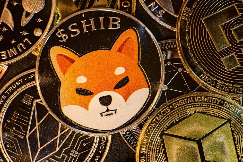 SwertyCo's tweet photo. #Shiba Inu🐕is on the move as its lead developer🧑‍💻 spills the beans on the upcoming #Shibarium update.📈

Source @Cointelegraph | #SwertyCo #Crypto (LINK in ALT)

Follow @SwertyCo for more latest #Web3-related news, contents, and insights.🟢 https://t.co/kjC73F8UMW