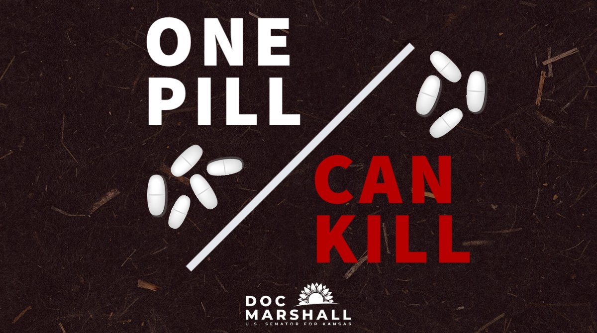 America needs to understand the reality we are facing: children, through social media platforms like Snapchat, can purchase lethal doses of fentanyl, often disguised as something else, including candy or other drugs. 

It only takes a small dose to be fatal. #OnePillCanKill